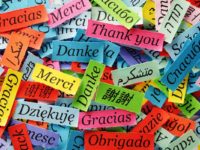 Poll – What is your native language?
