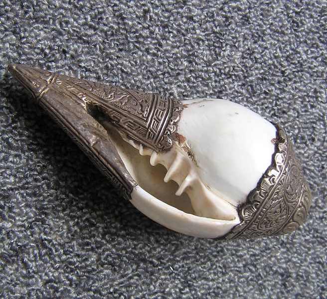 Dung Kar